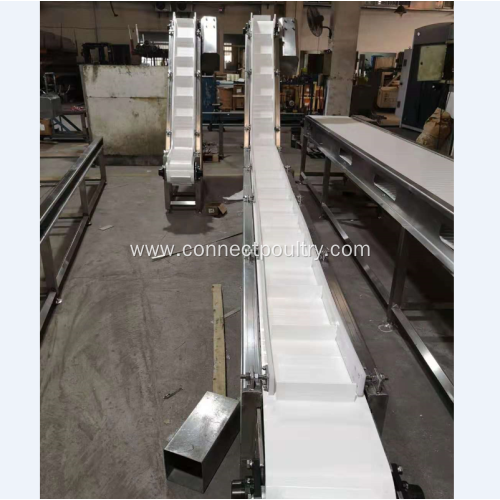 Meat products chain conveyor